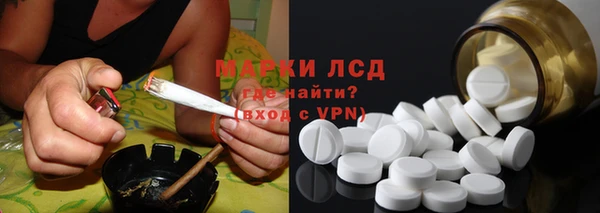 тгк Алзамай