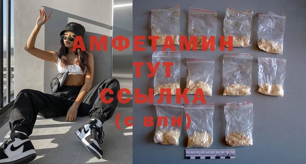 хмурый Алексин