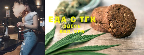 хмурый Алексин